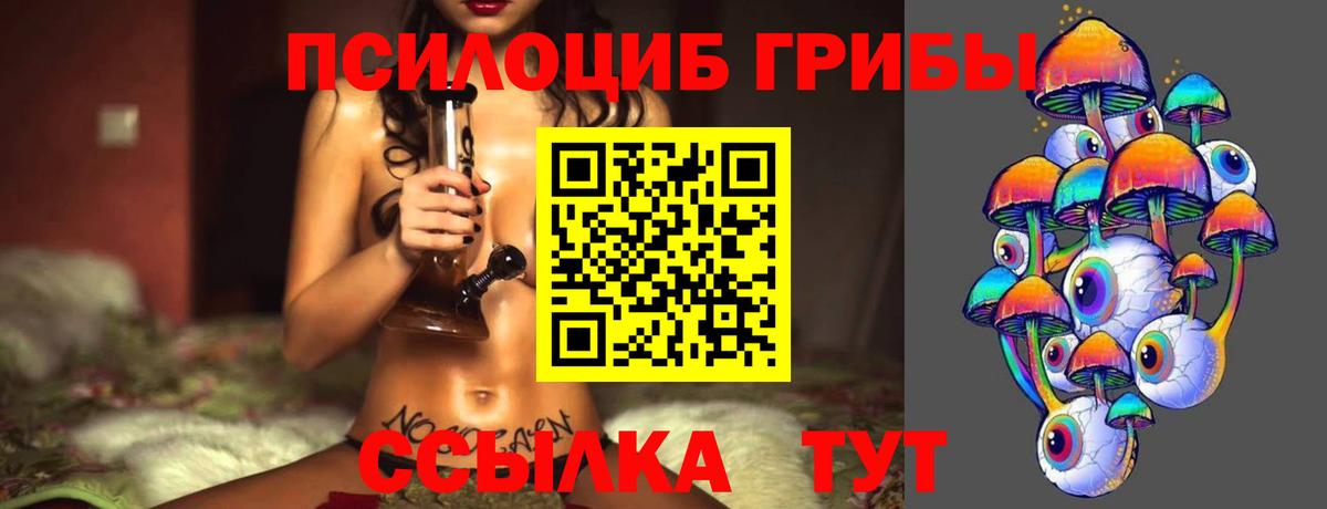 Печора  Псилоцибиновые грибы мухоморы  Вход с VPN 