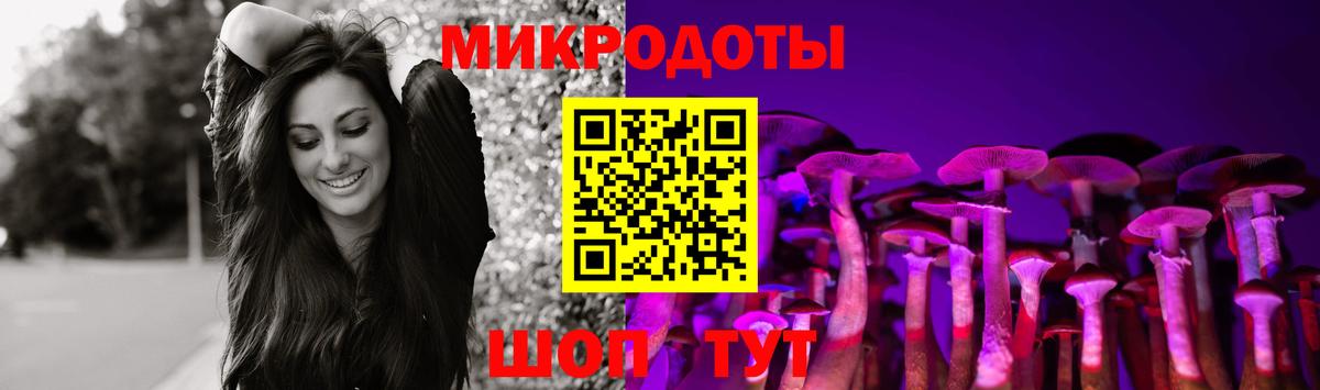 Галлюциногенные грибы GOLDEN TEACHER Печора